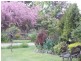 233 A Uxbridge Rd, Bushy Park TAS 7140