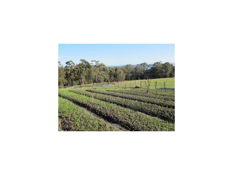 Lot 1a Nubeena Back Rd, Koonya TAS 7187