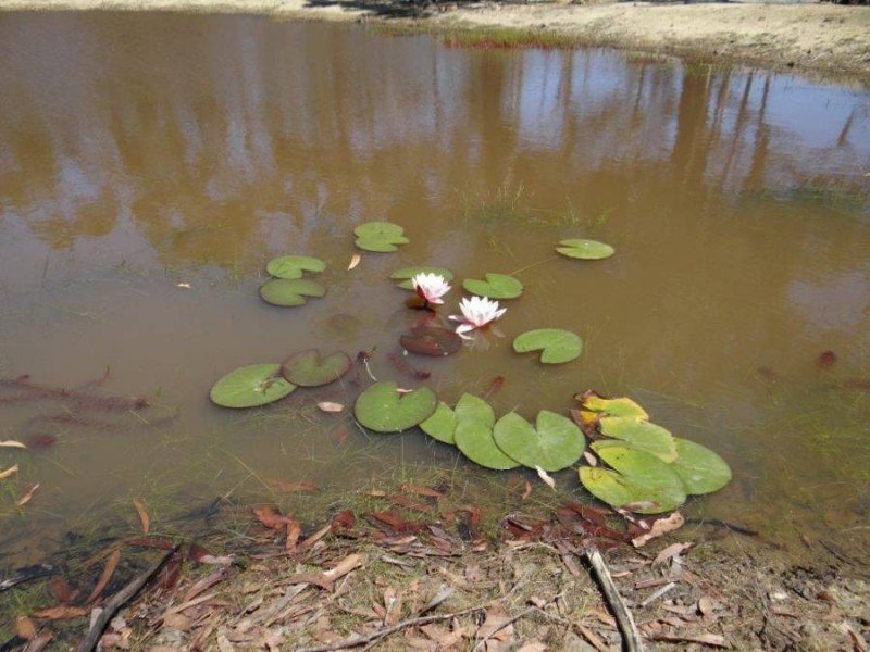 990 Roaring Beach Road, Nubeena TAS 7184