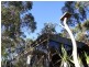 382 Sommers Bay Rd, Murdunna TAS 7178