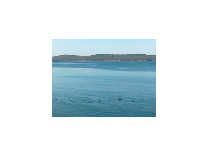 59 Linden Road, Primrose Sands TAS 7173