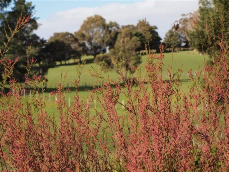 724 Nubeena Road, Koonya TAS 7187