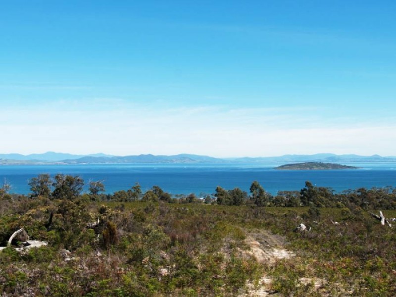 Sloping Main TAS 7186