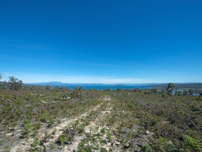 Sloping Main TAS 7186