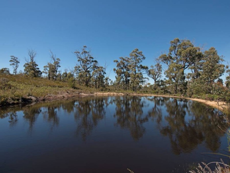 Sloping Main TAS 7186