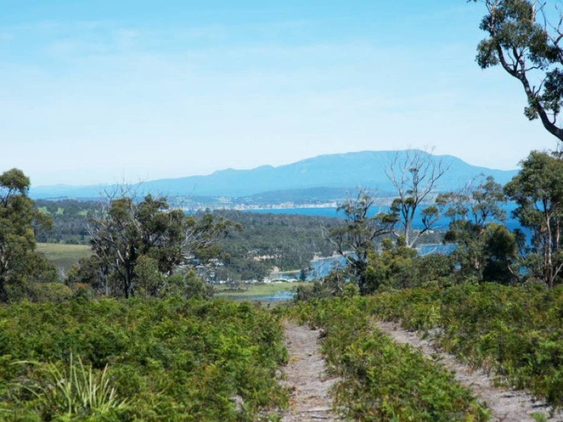 Sloping Main TAS 7186