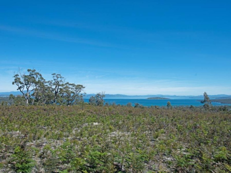 Sloping Main TAS 7186