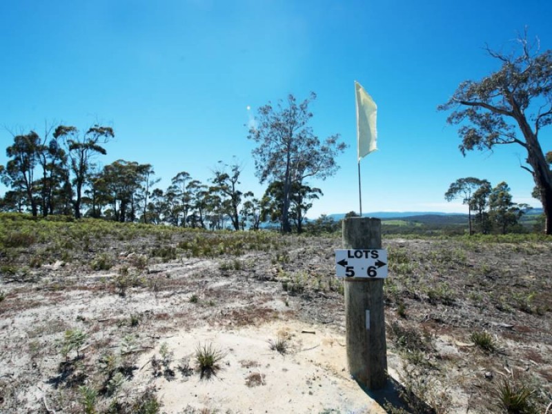 Sloping Main TAS 7186