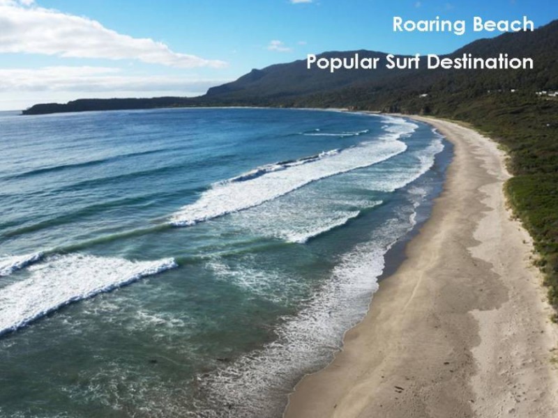 Sloping Main TAS 7186