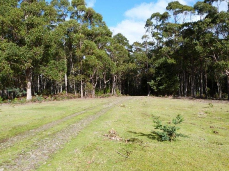 1008 Dam Rd, Nubeena TAS 7184
