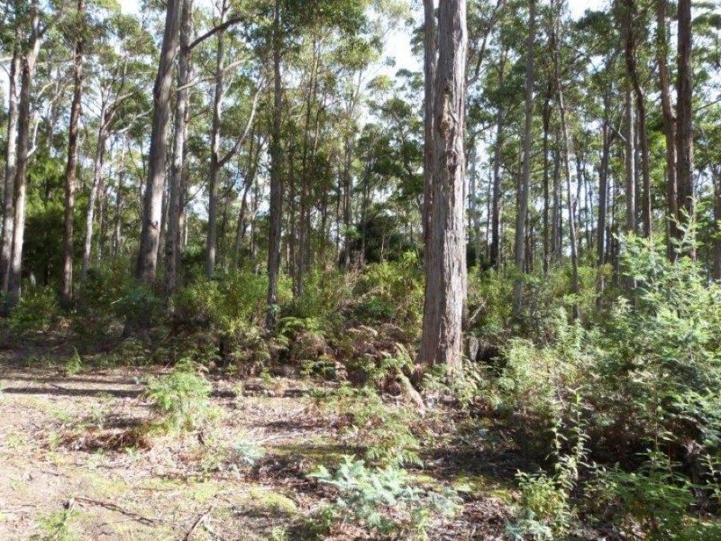 1008 Dam Rd, Nubeena TAS 7184