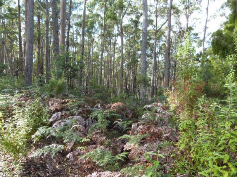 1008 Dam Rd, Nubeena TAS 7184