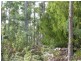 1008 Dam Rd, Nubeena TAS 7184