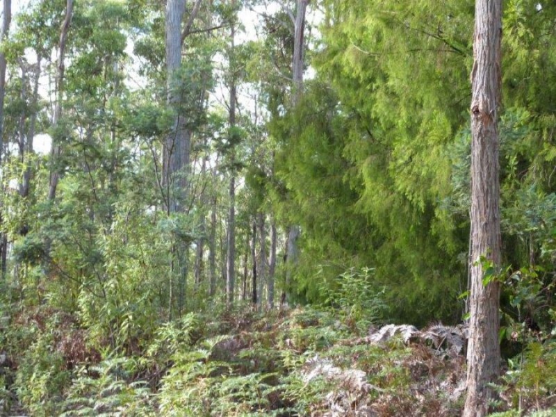 1008 Dam Rd, Nubeena TAS 7184