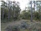 1008 Dam Rd, Nubeena TAS 7184