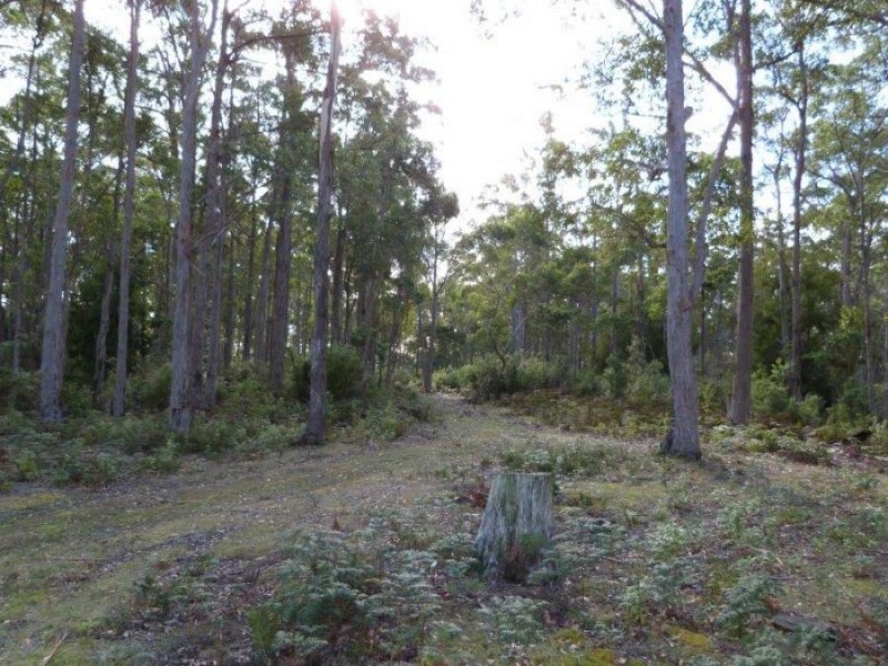 1008 Dam Rd, Nubeena TAS 7184