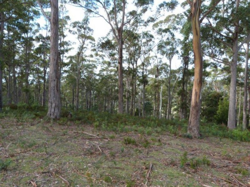 1008 Dam Rd, Nubeena TAS 7184
