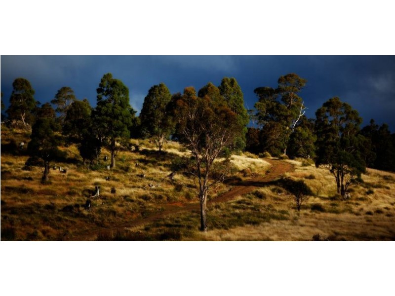 Lake Leake TAS 7210