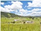 King Scrub QLD 4521