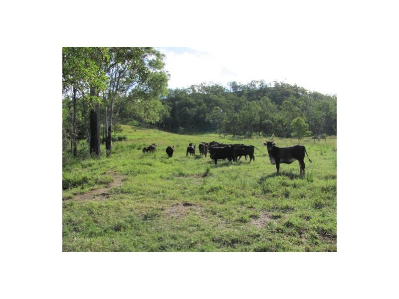 Lot 21 Dunwold-Cattle Creek Road, Gargett QLD 4741
