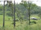 Lot 21 Dunwold-Cattle Creek Road, Gargett QLD 4741