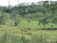 Lot 21 Dunwold-Cattle Creek Road, Gargett QLD 4741