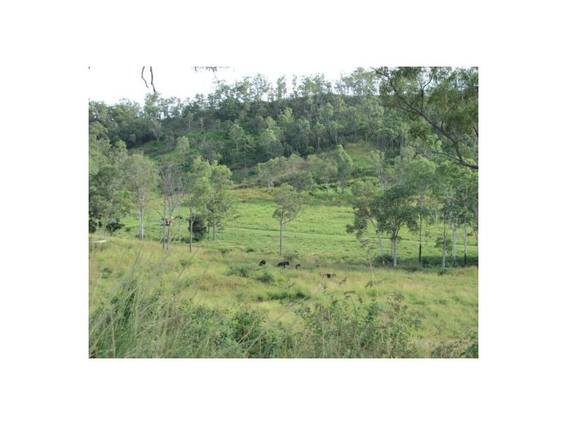 Lot 21 Dunwold-Cattle Creek Road, Gargett QLD 4741