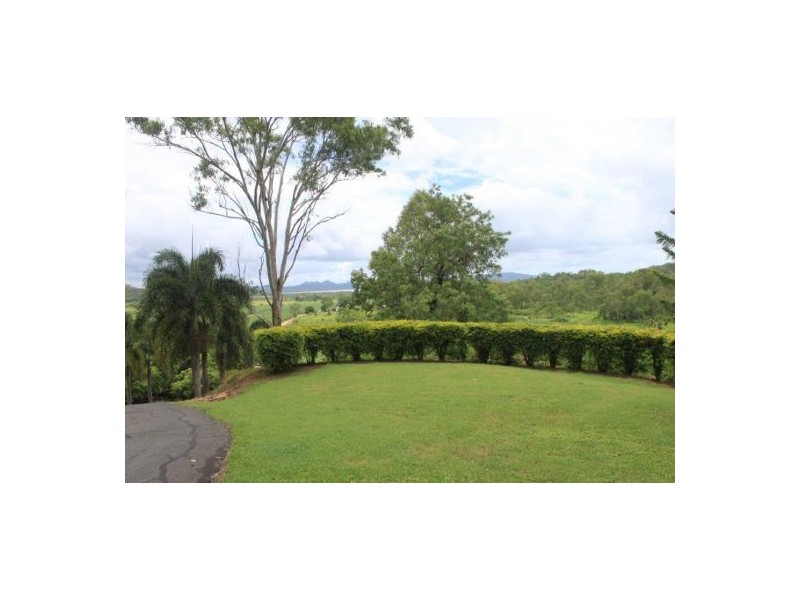 159 Olletts Road, Habana QLD 4740