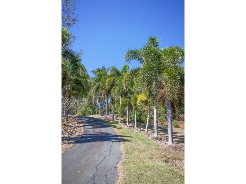159 Olletts Road, Habana QLD 4740