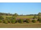 13 Miers Road, Seaforth QLD 4741