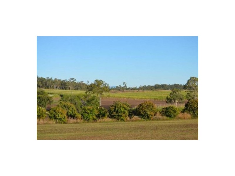 13 Miers Road, Seaforth QLD 4741