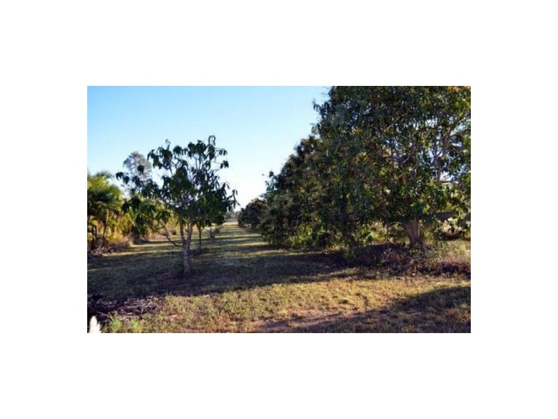 13 Miers Road, Seaforth QLD 4741