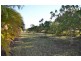 13 Miers Road, Seaforth QLD 4741