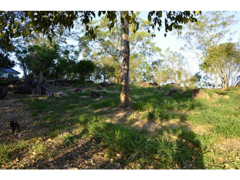 164 Balnagowan Mandarana Road, The Leap QLD 4740