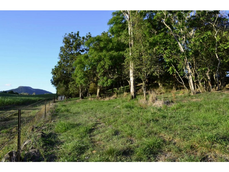 164 Balnagowan Mandarana Road, The Leap QLD 4740