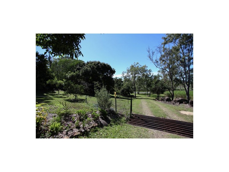 164 Balnagowan Mandarana Road, The Leap QLD 4740