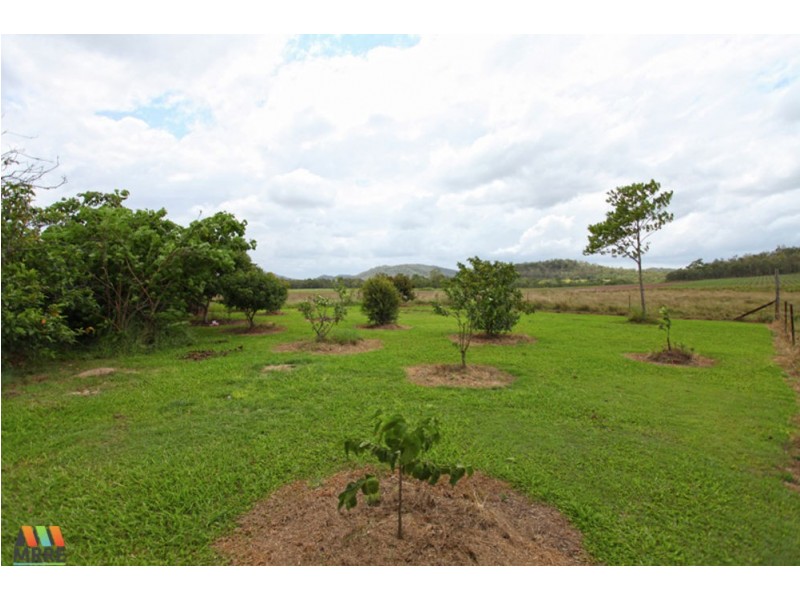 324 Doyles Road, Balnagowan QLD 4740