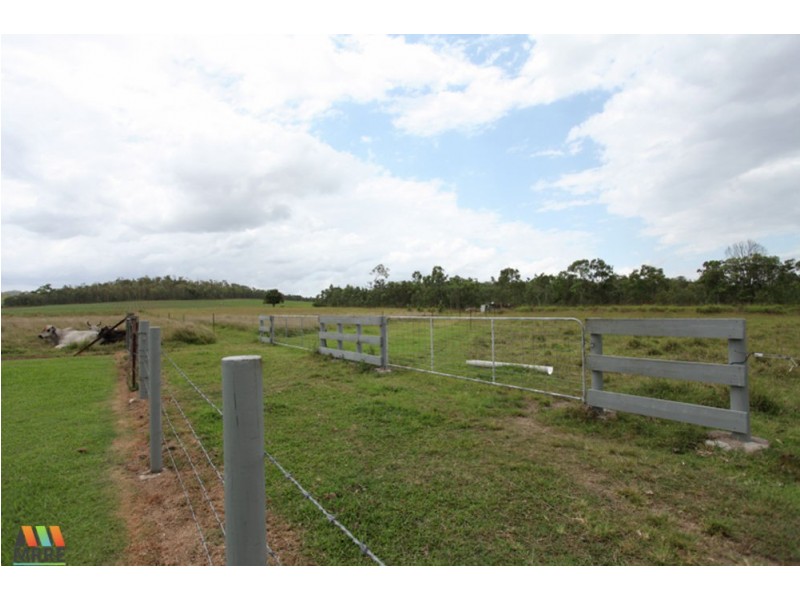 324 Doyles Road, Balnagowan QLD 4740