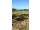 619 Devereux Creek Road, Devereux Creek QLD 4753