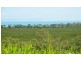 17 View Court, Seaforth QLD 4741