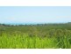 17 View Court, Seaforth QLD 4741