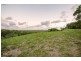 31 Florence St, Eimeo QLD 4740