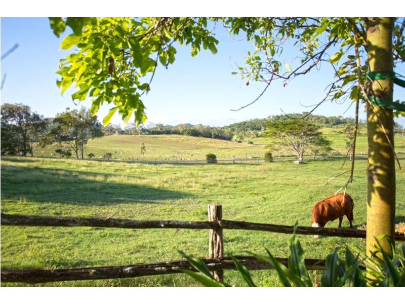 5 Galea Ct, Habana QLD 4740