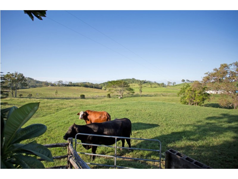 5 Galea Ct, Habana QLD 4740