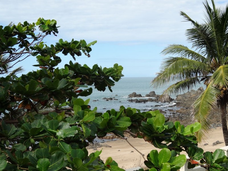 14 Turtle Place, Blacks Beach QLD 4740
