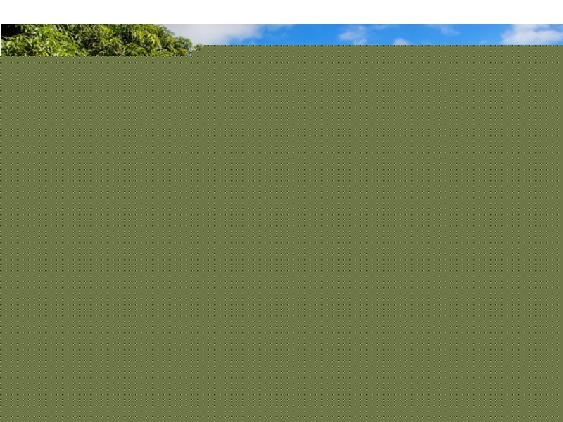 64 Canberra Street, North Mackay QLD 4740