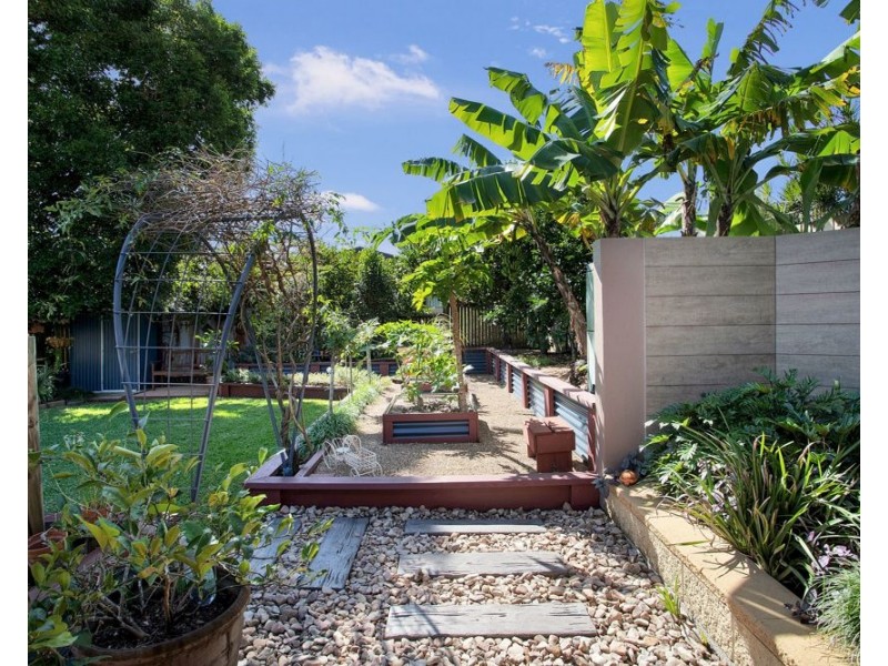 4 Bona Vista Drive, Mount Pleasant QLD 4740