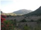 1189 Yakapari-Seaforth Road, Mount Jukes QLD 4740