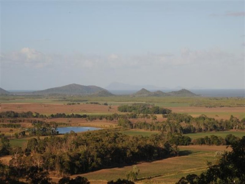 1189 Yakapari-Seaforth Road, Mount Jukes QLD 4740