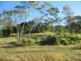 1457 Yakapari-Seaforth Road, Mount Jukes QLD 4740